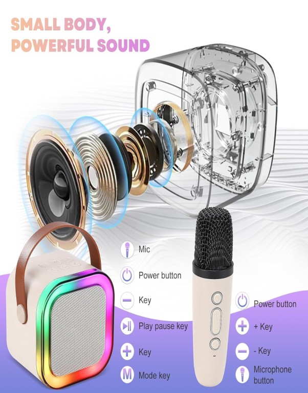 Bluetooth Karaoke Speaker with Wireless Microphone RGB LED Lights Portable Music System - Image 7